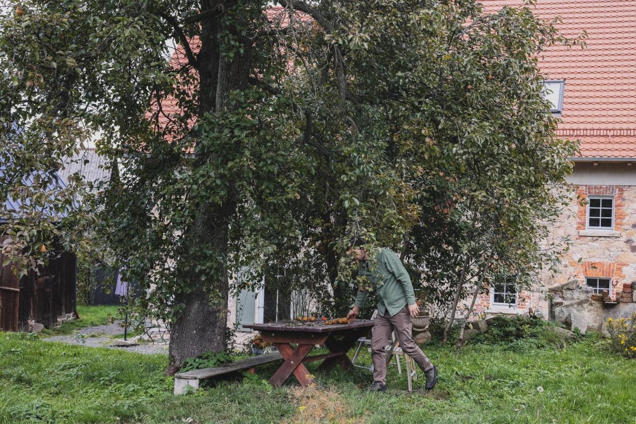 Dwie Brzozy Wegetarianskie Siedlisko Wlen Exterior foto