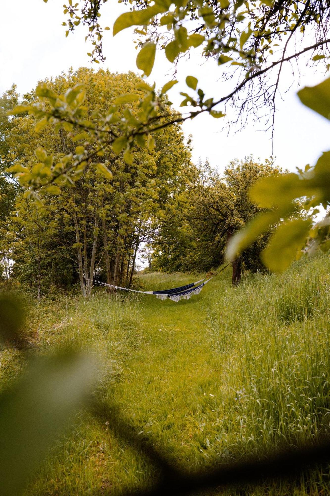 Dwie Brzozy Wegetarianskie Siedlisko Wlen Exterior foto